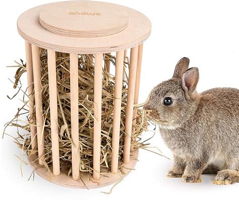 The Best Rabbit Hay Feeders Ranked And Reviewed Az Animals