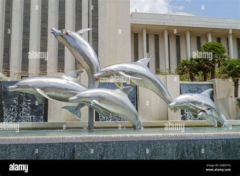 Dolphins Culture Hi Res Stock Photography And Images Alamy