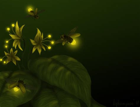 Fireflies By Lophiomyinae On Deviantart