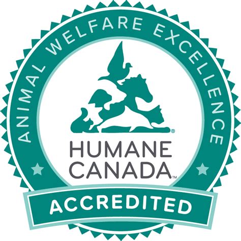 Home Ottawa Humane Society