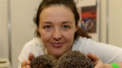 Prickly Problem As Yvonne S Quest Is To Protect Hedgehogs Independent Ie