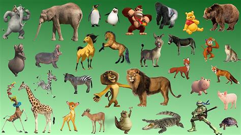 Learning Wild Animals Names And Sounds For Kids Real And Cartoon