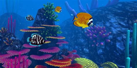 Ocean Rift Tauchen Im Korallenriff Vr Download