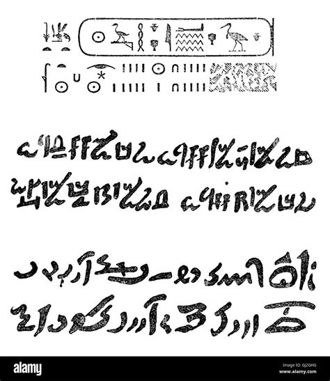 Ancient Egyptian Scripts Hieroglyphs Hieratic And Dem