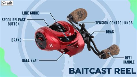 Types Of Fishing Reels Complete Guide