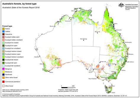 Forests Of Australia 2023 Daff