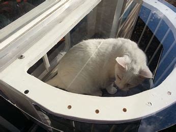 Cat window perch cat perch cat cages cat playground outdoor playground cat enclosure dog cat windows cat patios. Check Out Photos From Cat Solarium Owners | Cat window ...