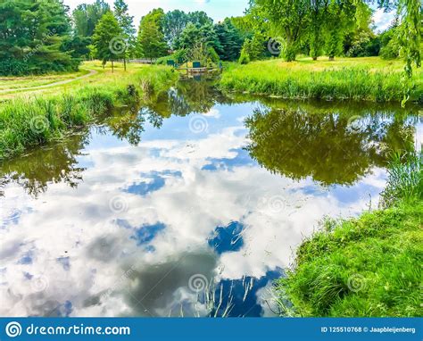 Beautiful River In A Lake Forest Landscape With Clouds Reflecting On