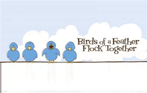 Isi Dublin English Language School │ Birds Of A Feather Flock Together