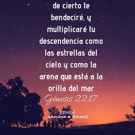 The Night Sky With Trees And Stars Above It Is Written In Spanish As