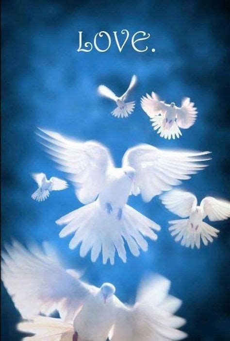 The Dove Of Piece And Eternal Love Is What I Give To Yo And You Are