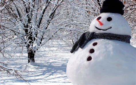 Real Snowman Wallpapers Top Free Real Snowman Backgrounds