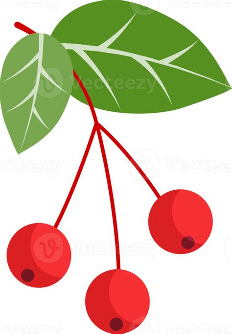Red Cherry Flat Color 18927165 Png