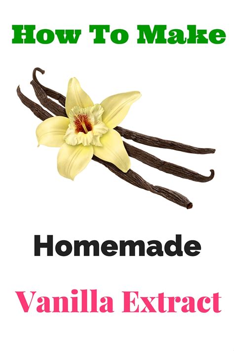 Tasty Tuesday Homemade Vanilla Extract Orgali