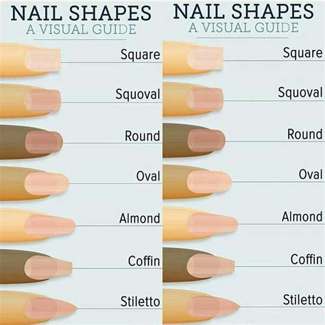 pinterest erikaltamedina fake nails shape types of nails shapes nail shapes