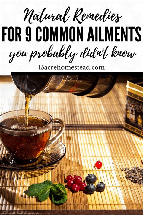 Natural Remedies For 9 Common Ailments 15 Acre Homestead