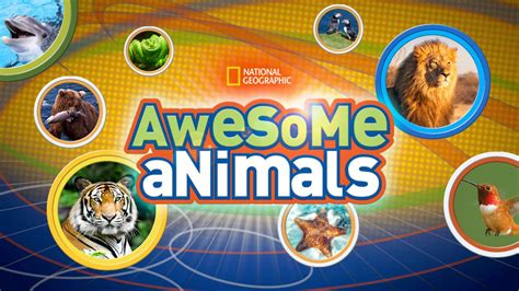 Watch Awesome Animals Full Episodes Disney