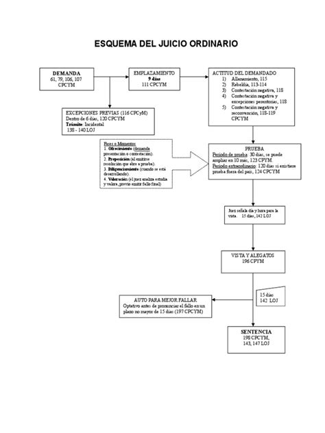 Esquema Juicio Ordinario Pdf