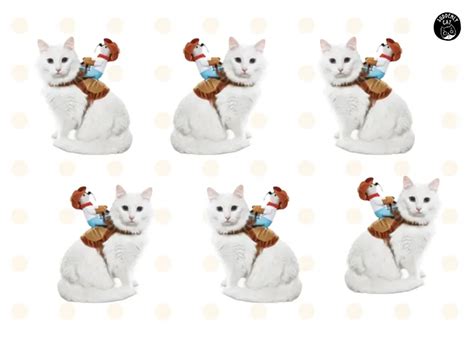 7 Cowboy Cat Costumes That Came From The Wild West Suddenly Cat Cute