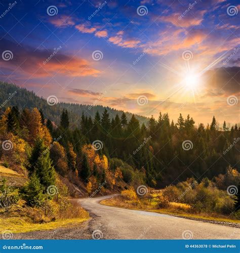 Winding Road To Forest In Mountains At Sunset Stock Photo Image Of