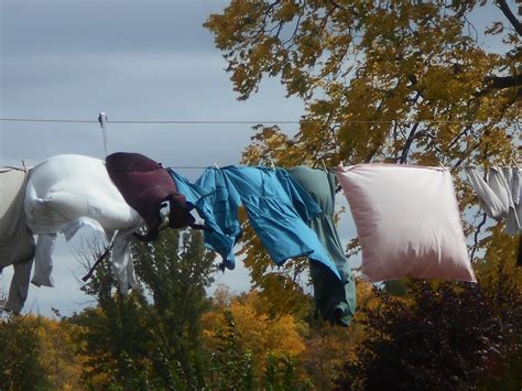 New York State of Mind: CLOTHES BLOWING IN THE WIND