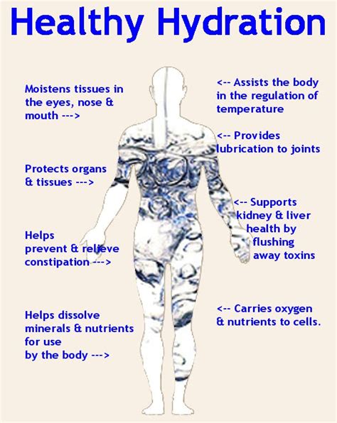 T Minus 4 Days To The New Year Hydrating Properly Plant Based Dietitian