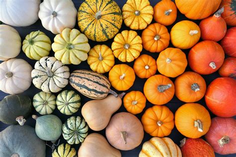 11 Pumpkin Colors And Their Meanings Color Meanings