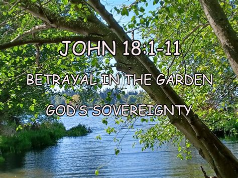 Meditations John 181 11 Betrayal In The Garden Gods Sovereignty