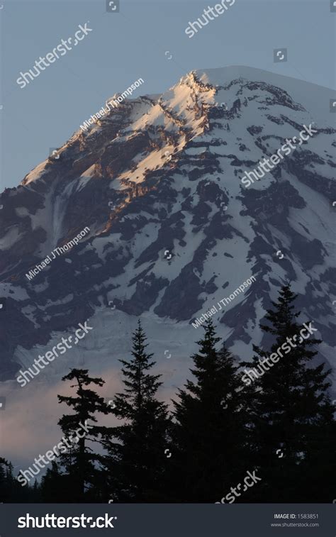 Longmire View Of Mount Rainier Mount Rainier National