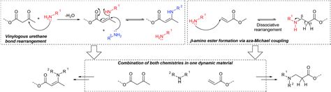 Combining Vinylogous Urethane And β Amino Ester Chemistry For Dynamic