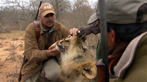 A new television channel dedicated to hunting wild animals has launched