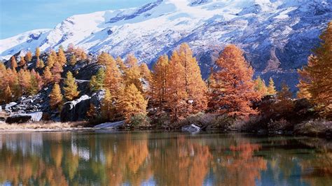 Download Wallpaper 1366x768 Mountains Autumn Trees Reflection Lake