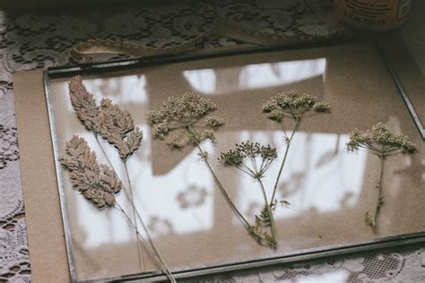 Pressed flowers make gorgeous decorative embellishments to all sorts of art and craft projects. A handmade cottage: Pressed wild flowers in glass frames