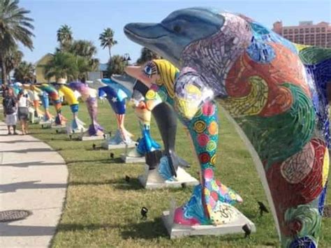 8 Delightful And Unique Things To Do In Clearwater Fl