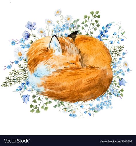 Watercolor Sleeping Fox Royalty Free Vector Image Peinture Renard