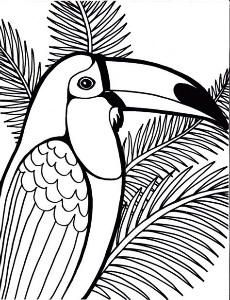 Top 7 Beautiful High Detailed Illustrations Of Parrot Coloring Pages