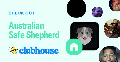 Australian Safe Shepherd