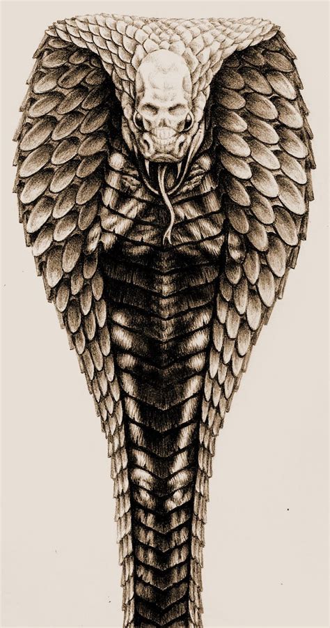 Pin By Josival Freitas On Sombrio Cobra Tattoo Snake Tattoo Design