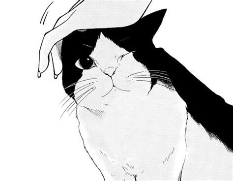 Animation Art Black And White Cat Cute Drawing