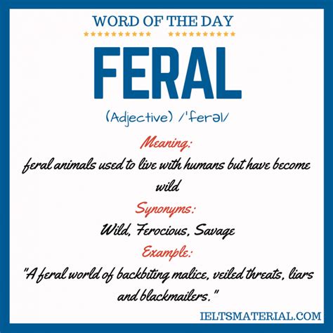 Feral Word Of The Day For Ielts Speaking And Writing