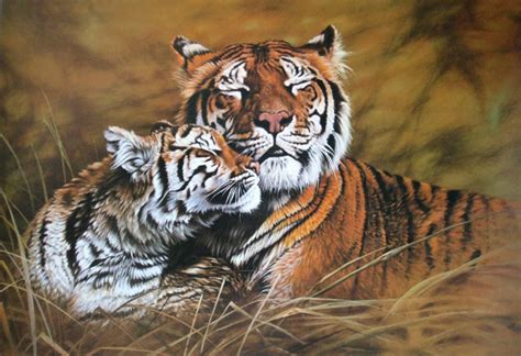 Tender Interlude Limited Edition Tiger Print By Wildlife Artist Alan Hunt