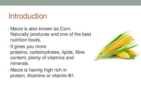 Health Benefits Of Maize
