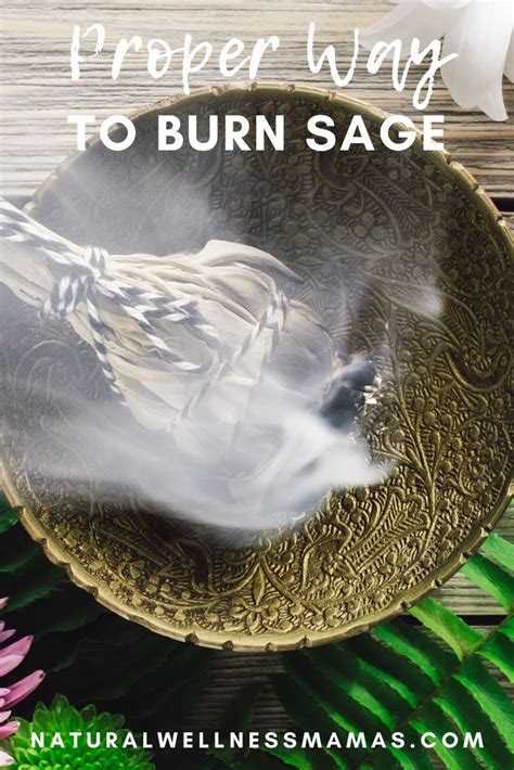 How To Burn Sage Properly Burning Sage Is A Great Way To Cleanse The