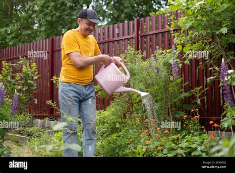 Man Watering Flowers Using Can In His Garden Stock Photo Alamy