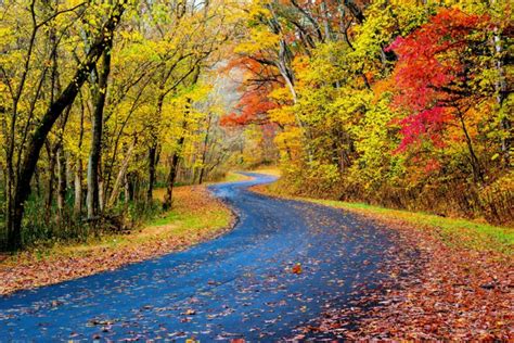 Places To Visit In The United States With Beautiful Fall Scenery
