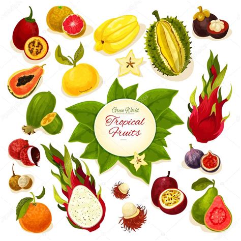 Tropical Fresh Fruits Vector Poster — Stock Vector © Seamartini 132111670