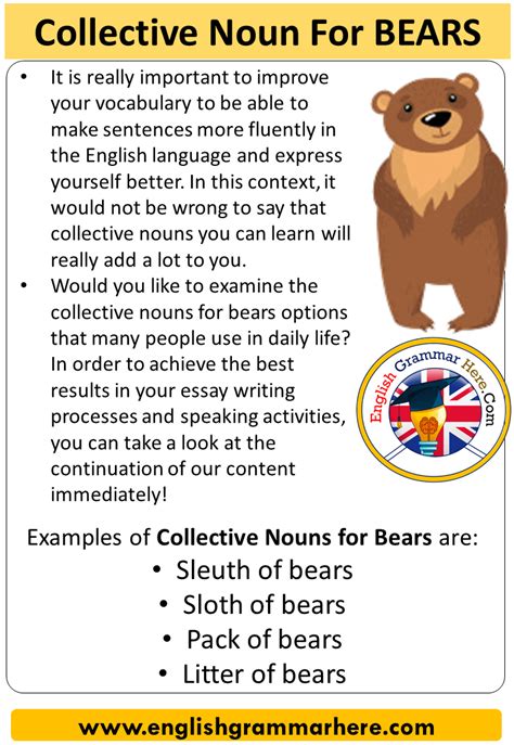 Collective Noun For Bears Collective Nouns List Bears Table Of
