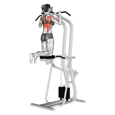 Assisted Pull Up Band And Machine Benefits Muscles Worked And More