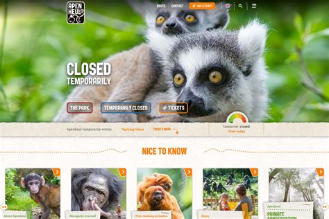 19 Best Zoo Website Design Examples To Explore 2023 Colorlib