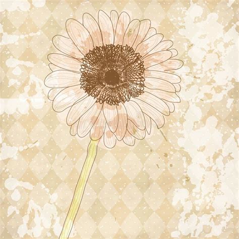 Old Paper Flower Background Frame Stock Illustrations 37445 Old
